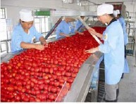 exquisite show take an example of Ketchup Production Line real photos,let customers understanding of our products more intuitive!